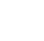 Home Security Icon